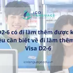 Visa D2-6 có đi làm thêm được không?