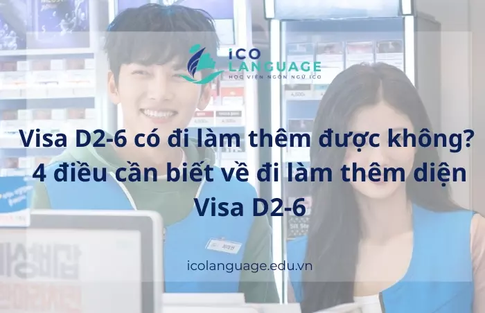 Visa D2-6 có đi làm thêm được không?