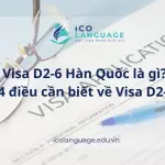 Visa D2-6 Hàn Quốc là gì? Điều kiện, thủ tục và chi phí mà bạn cần biết